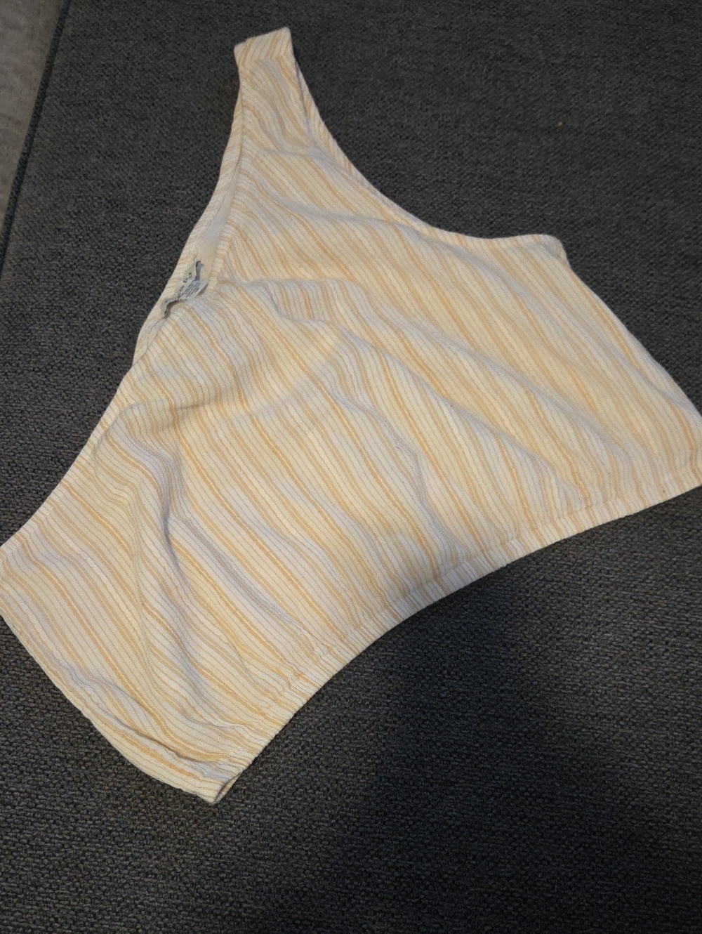 American Eagle Crop Top